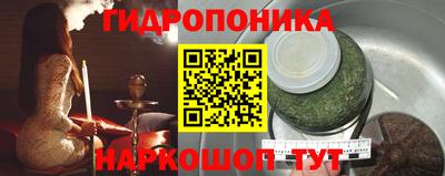 spice Кунгур