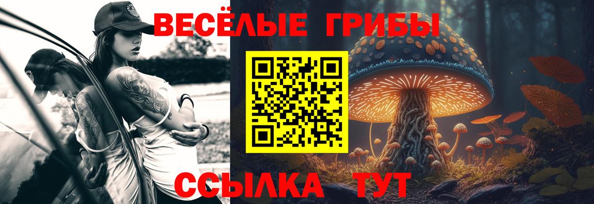 Галлюциногенные грибы Magic Shrooms Кемерово